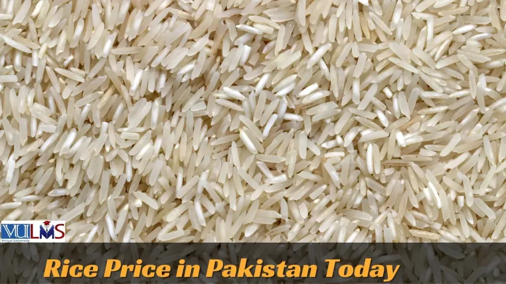 Rice Rate In Pakistan