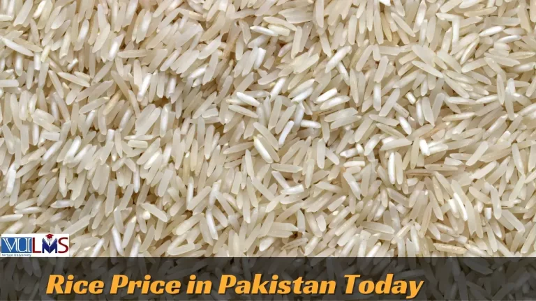 Rice Price List in Pakistan Today 2024| Chawal Rate in Market