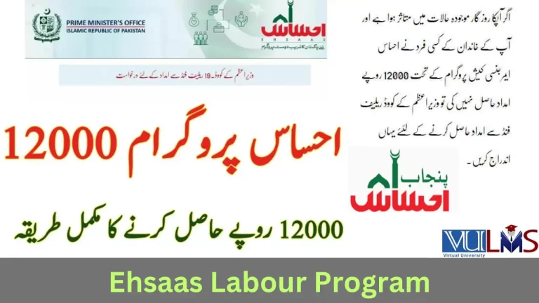 How To Register For Ehsaas Labour Program in 2024 Online 12000