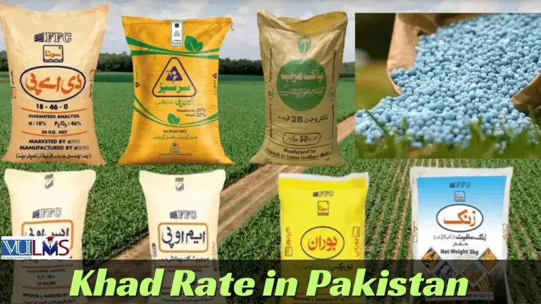 Khad Rate in Pakistan Today | Fertilizer Price List 2024