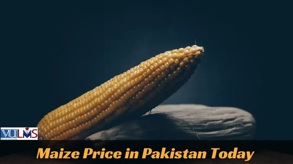 Maize Price In Pakistan