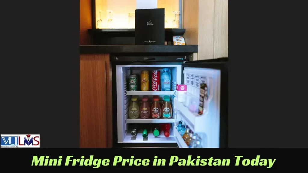 Mini Fridge Price In Pakistan