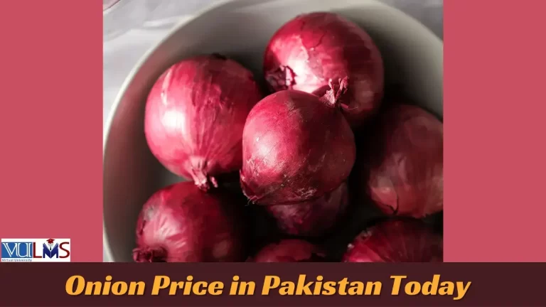 Onion Price in Pakistan Today 2024 | Pyaz Latest Rate