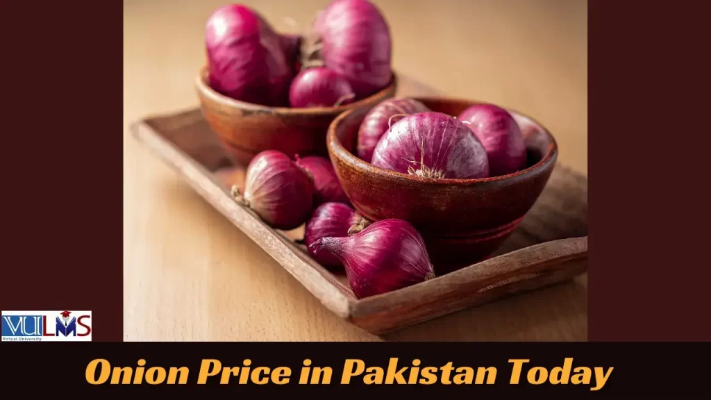 Onion Pyaz Rate