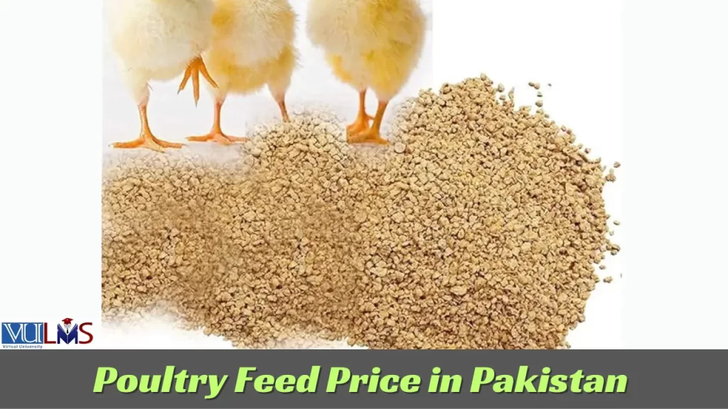 Poultry Feed Rate in Pakistan