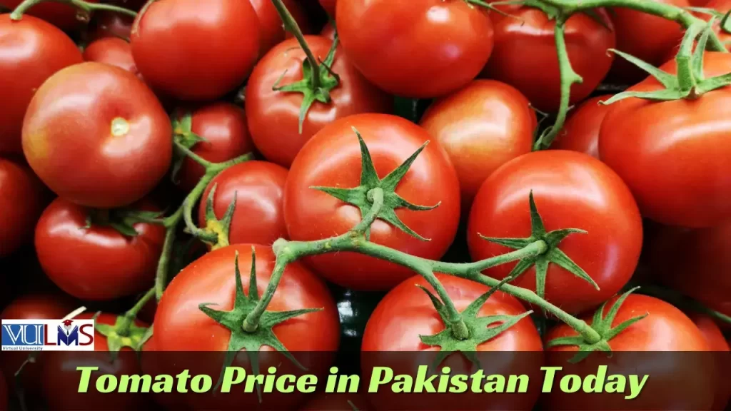 Tomato Price In Pakistan