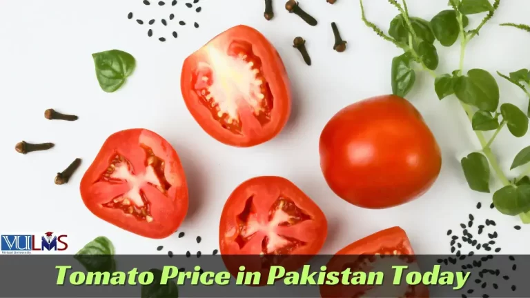 Tomato Price in Pakistan Today (Rate) 2024