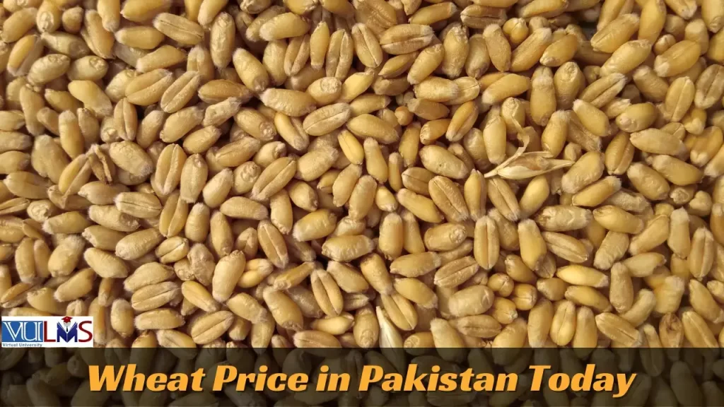 Wheat Price In Pakistan