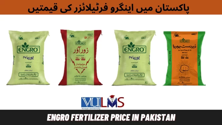 Engro Fertilizer Price in Pakistan Today | Rate List 2024