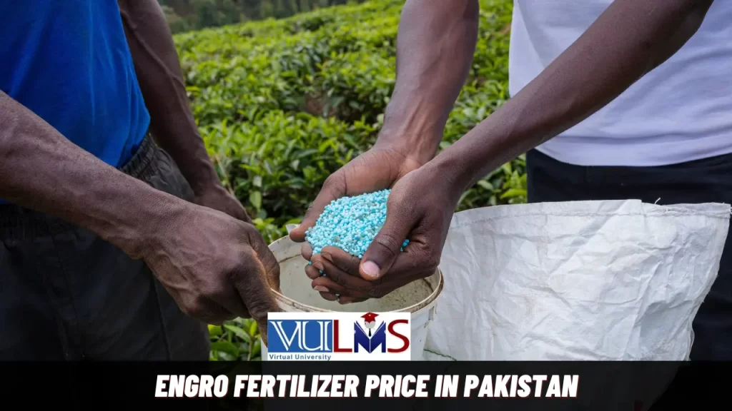 Engro Fertilizer Price in Pakistan Today