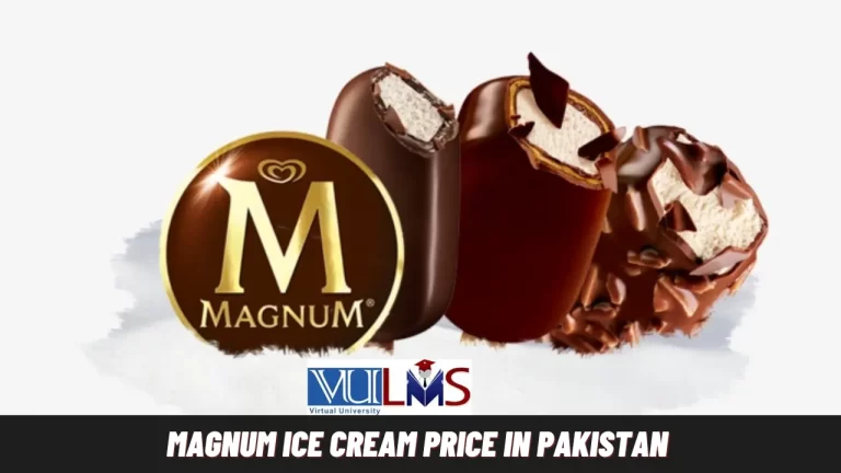 Magnum Ice Cream Price in Pakistan Today 2024 | Rate List