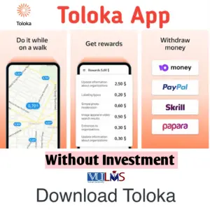 Toloka Earning App