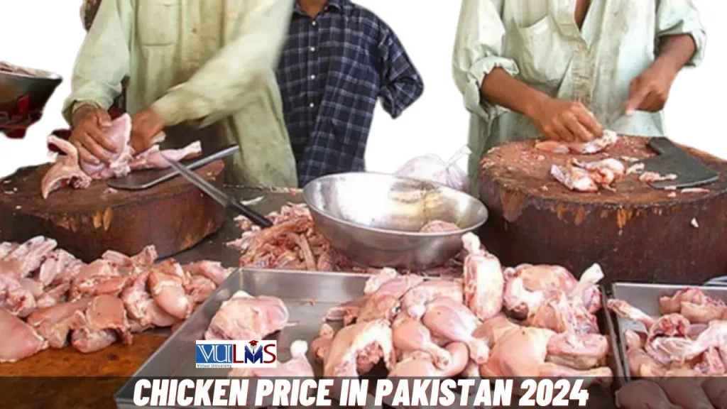 Chicken Price in Pakistan Today Rate