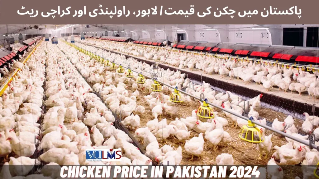 Chicken Price in Pakistan