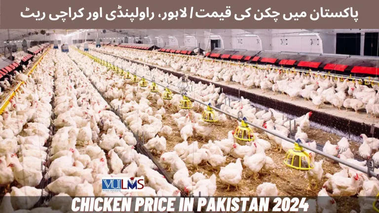 Chicken Price in Pakistan 2024 | Lahore, Rawalpindi & Karachi