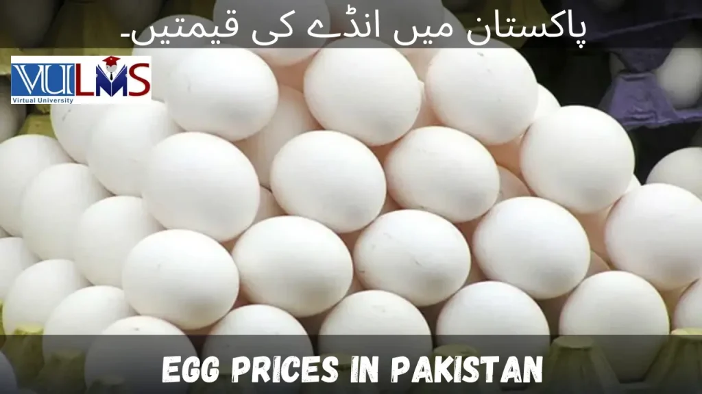 Egg Prices in Pakistan
