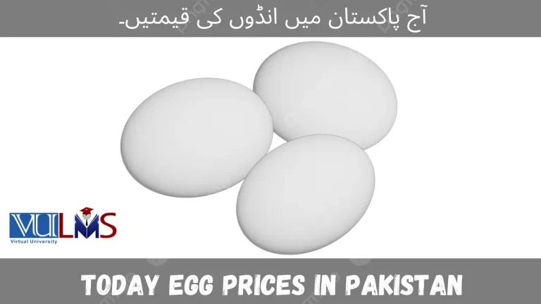 Today Egg Prices in Pakistan