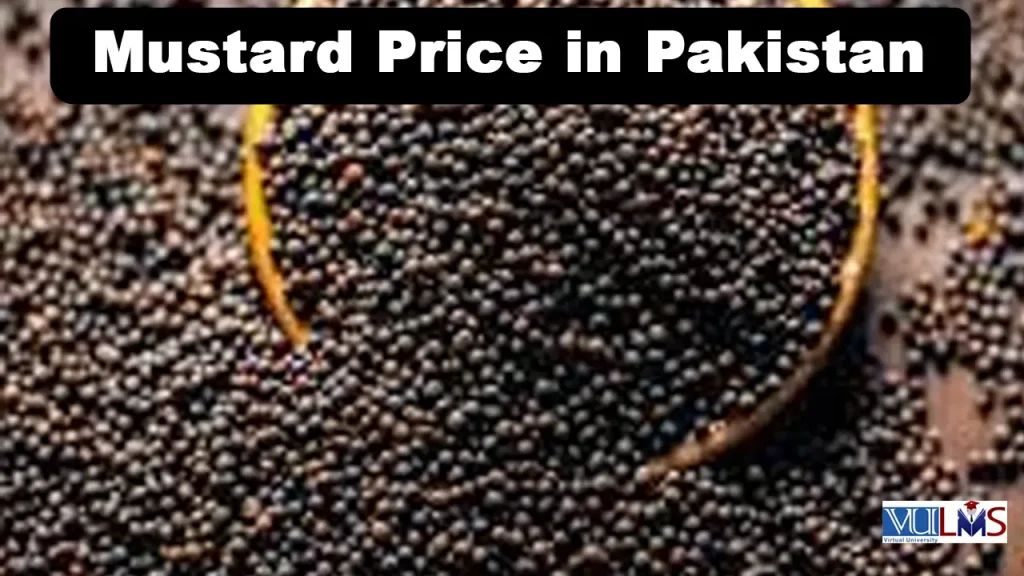 Mustard Price in Pakistan